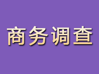 九里商务调查